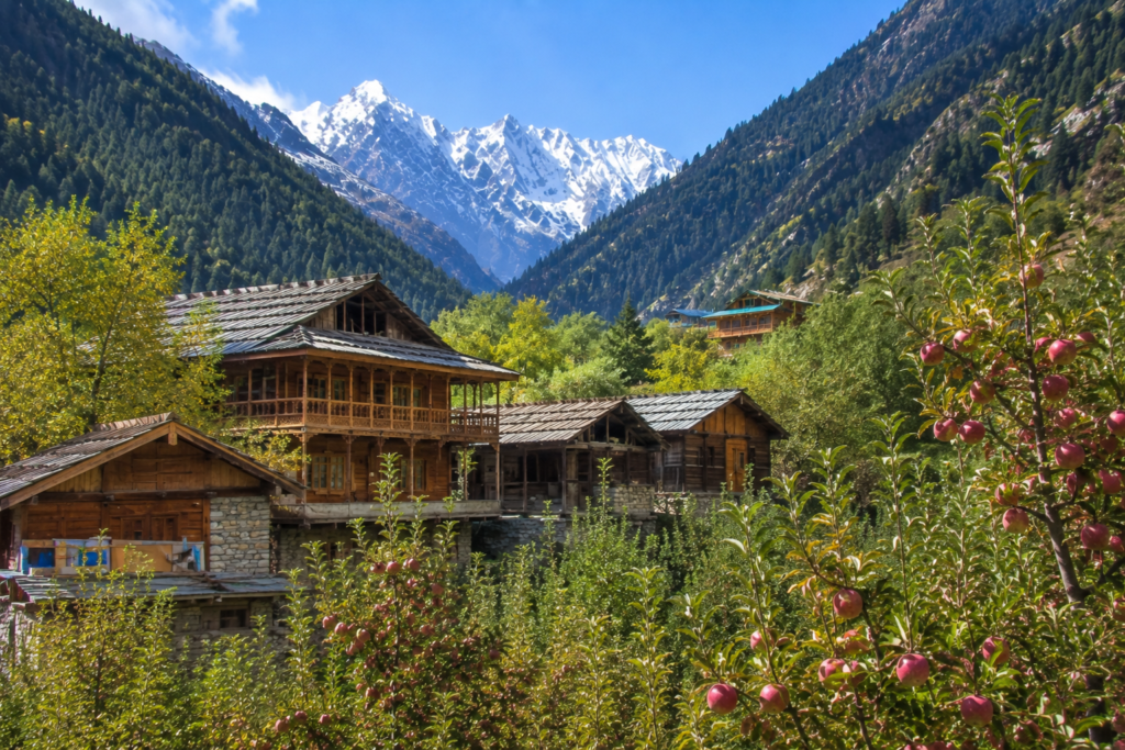 Traditional wooden houses in Dharali village near Harsil