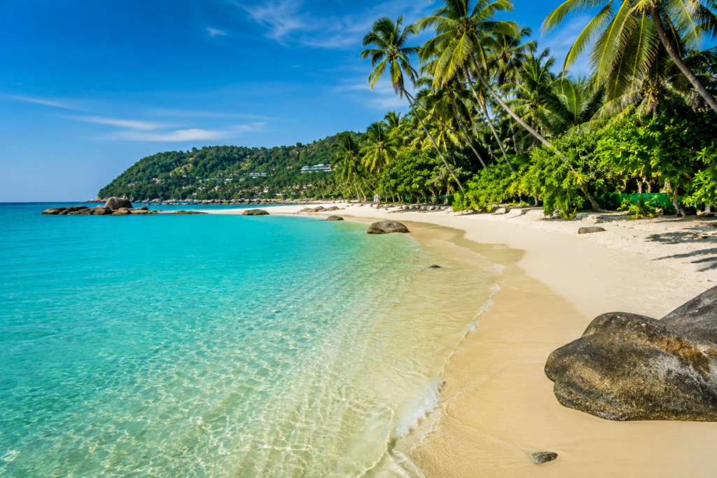 Beautiful tropical beach in Phuket Thailand with turquoise water and palm trees
